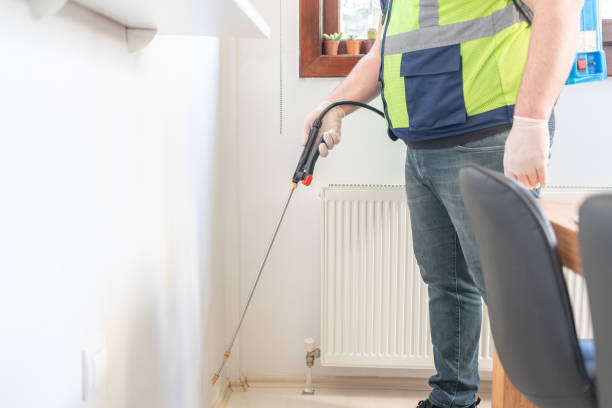 Best Ant Control Services  in Hallam, PA