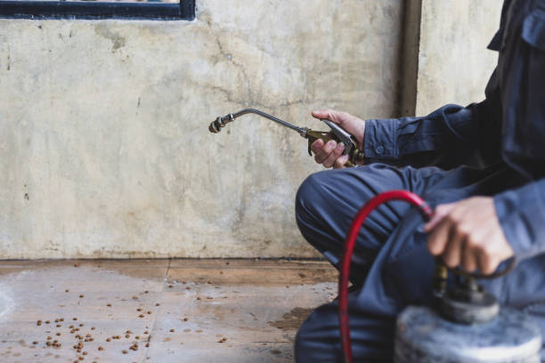 Best Termite Control Services  in Hallam, PA